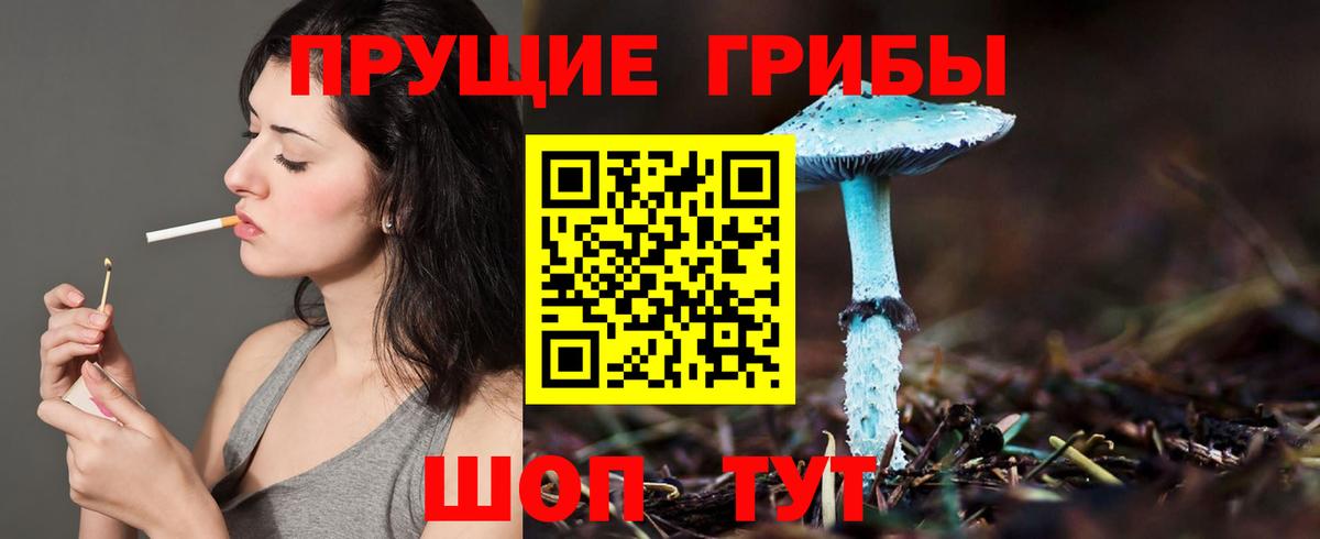 закладка  Псилоцибиновые грибы Magic Shrooms  Вход с VPN  Элиста 