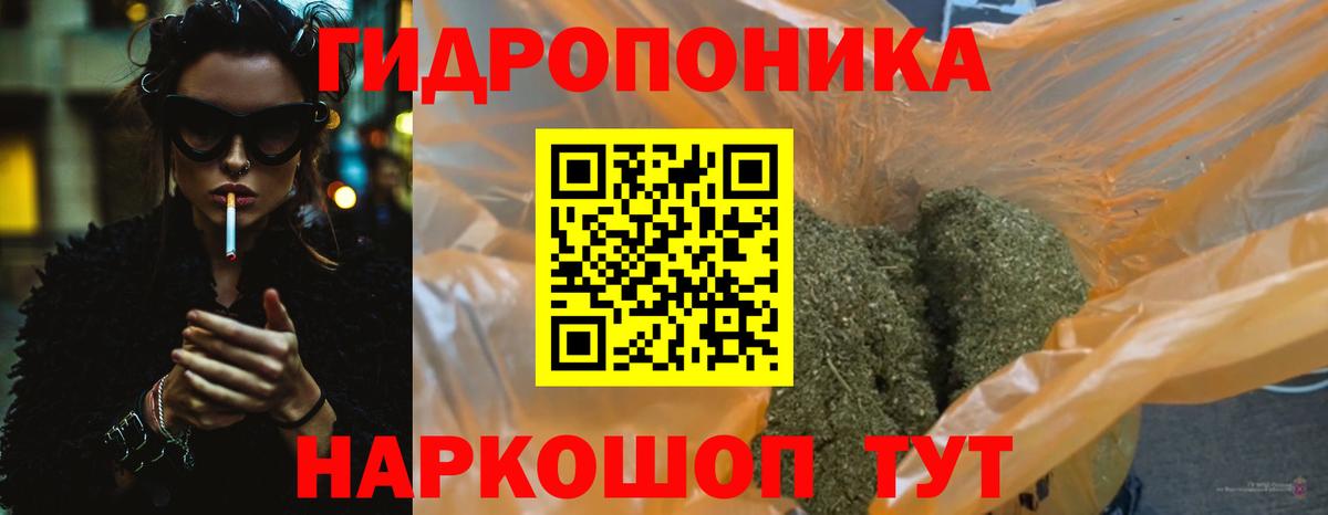 Бошки марихуана конопля Элиста